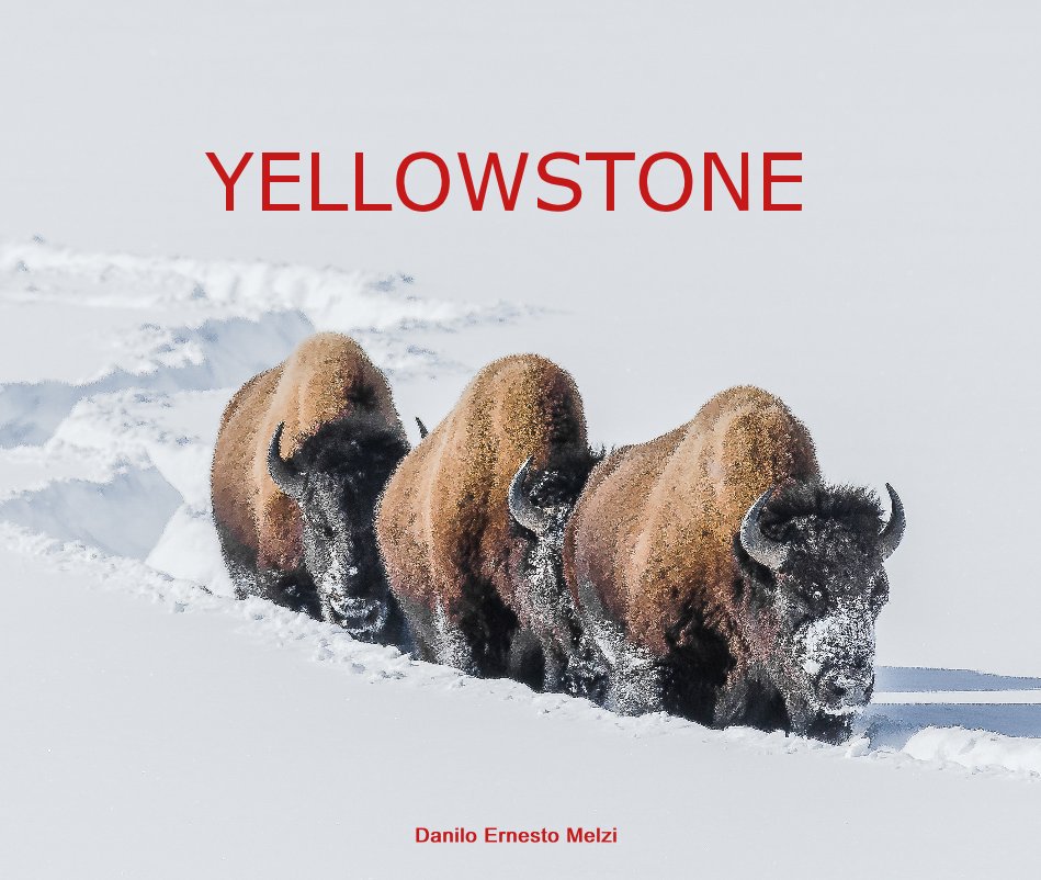 View Yellowstone by Danilo Ernesto Melzi