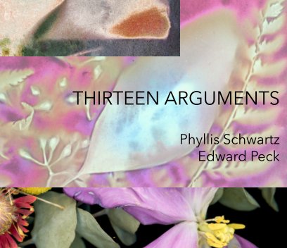 Thirteen Arguments book cover