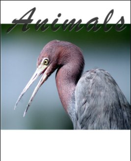How to Photograph Animals book cover