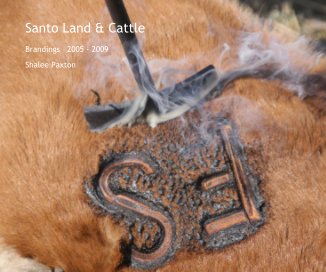 Santo Land & Cattle book cover