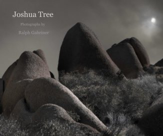 Joshua Tree book cover