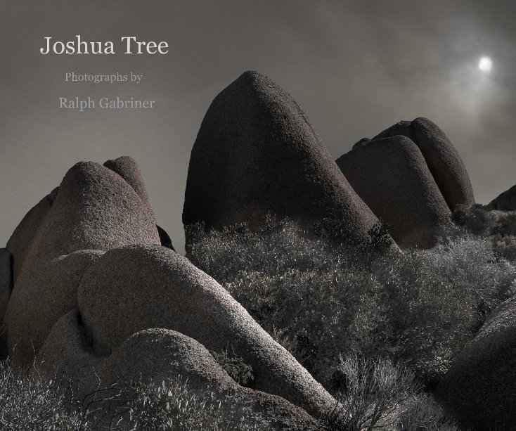 View Joshua Tree by Ralph Gabriner