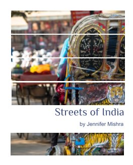 Streets of India book cover