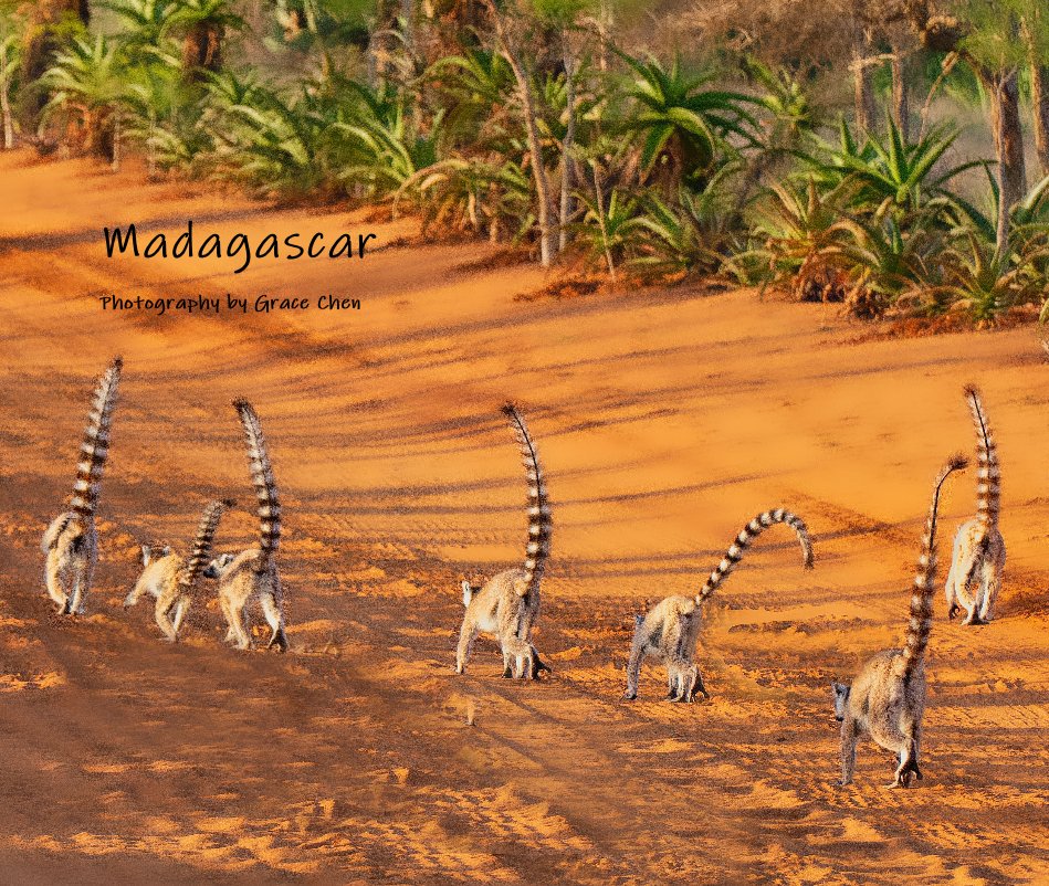Bekijk Madagascar op Photography by Grace Chen