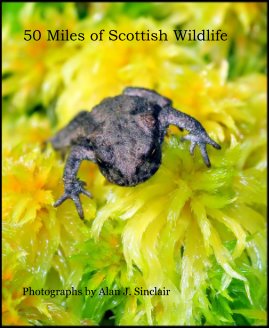 50 Miles of Scottish Wildlife book cover