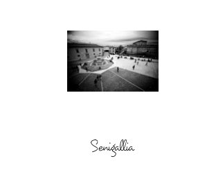 Senigallia book cover