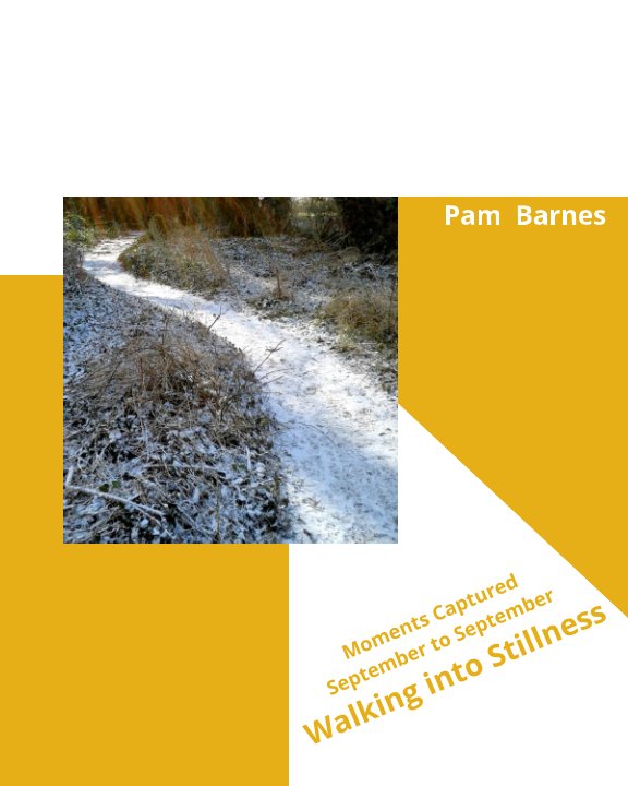 View Walking into Stillness by Pam Barnes