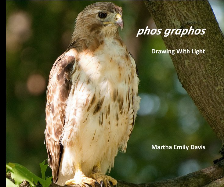View phos graphos by Martha Emily Davis