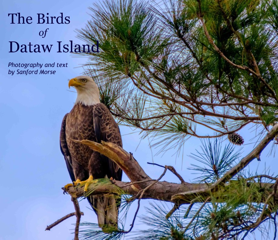 Visualizza The Birds of Dataw Island di Photography by Sanford Morse