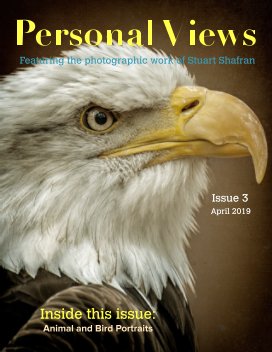 Personal Views book cover