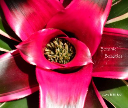 Botanic Beauties book cover