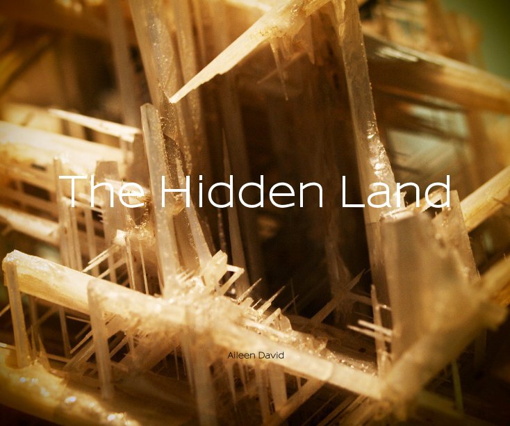 Ver The Hidden Land por Aileen David