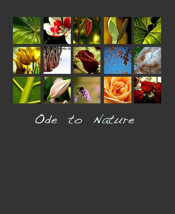 View Ode to Nature by Star Co