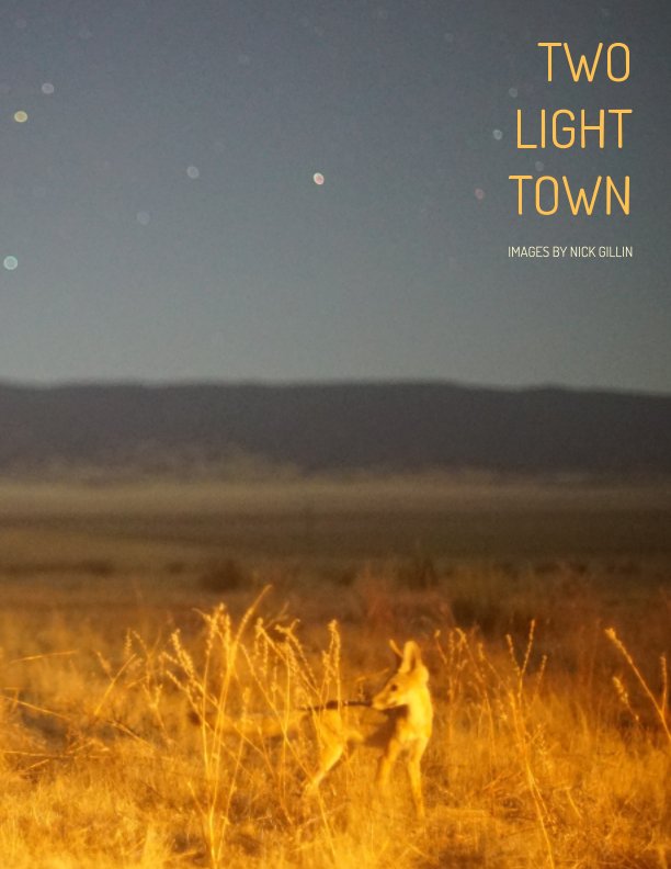 Visualizza Two Light Town di Nick Gillin