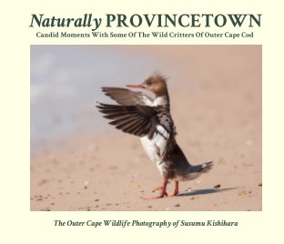 Naturally Provincetown book cover