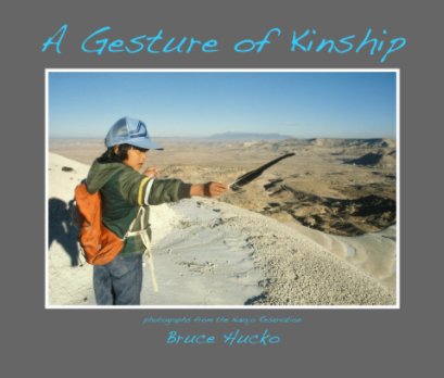 A Gesture of Kinship book cover