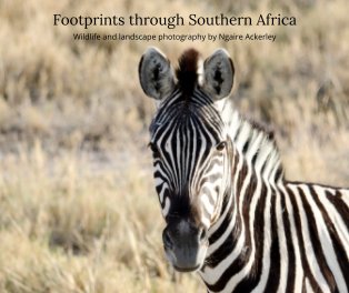 Footprints through Southern Africa book cover
