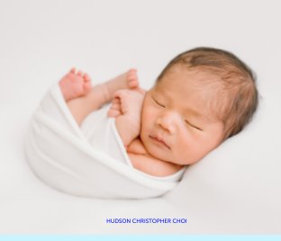 Hudson Choi Newborn Family Portraits book cover