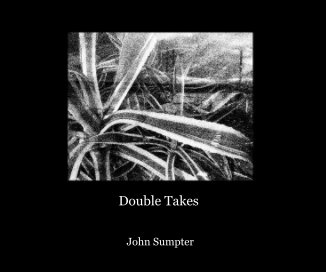 Double Takes book cover