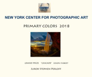 NYC4PA Primary Colors book cover
