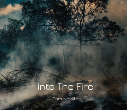Into The Fire book cover