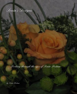Sonia's Designs book cover
