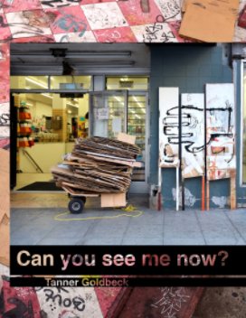 Can you See me Now? book cover