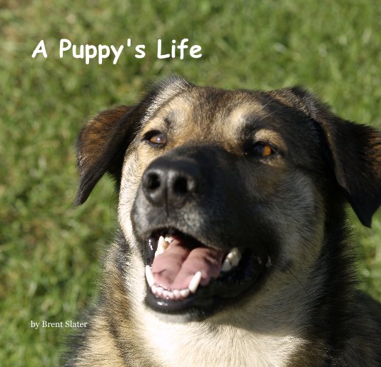 View A Puppy's Life by Brent Slater