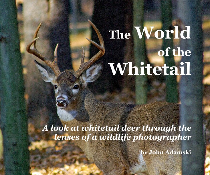 View The World of the Whitetail by John Adamski