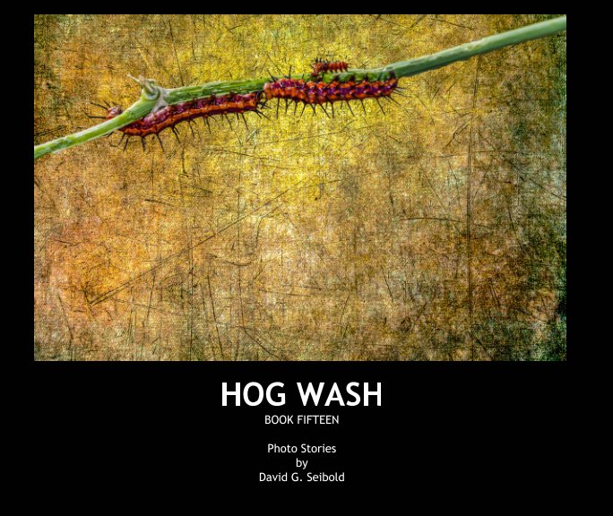 View Hog Wash by David G. Seibold