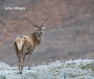 Alba Images By Gordon Dawson Red Deer Stag, Glen Cannich book cover