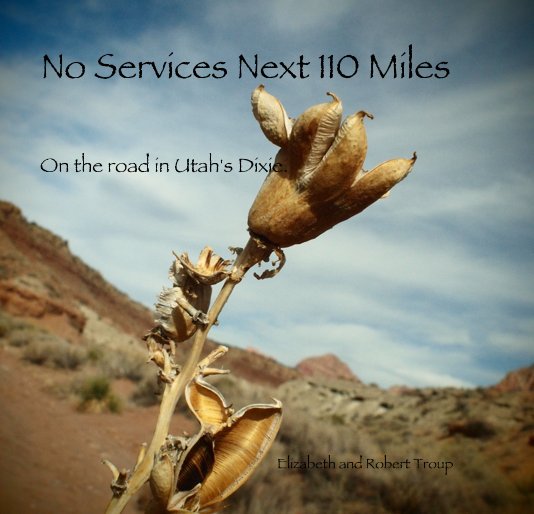 View No Services Next 110 Miles by Elizabeth and Robert Troup