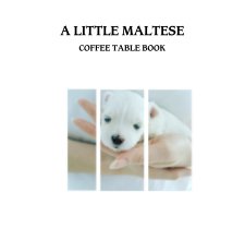 A Little Maltese book cover