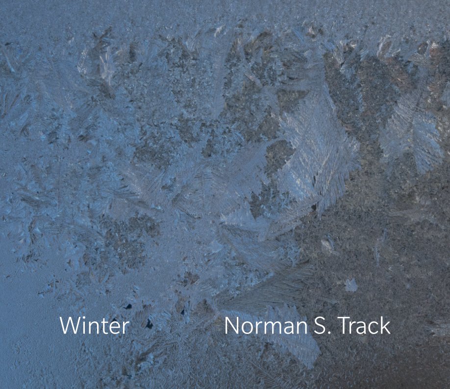 View Winter by Norman S. Track