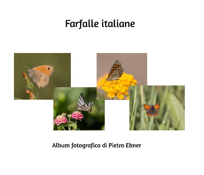 View Farfalle italiane by Pietro Ebner