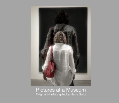 Pictures at a Museum book cover