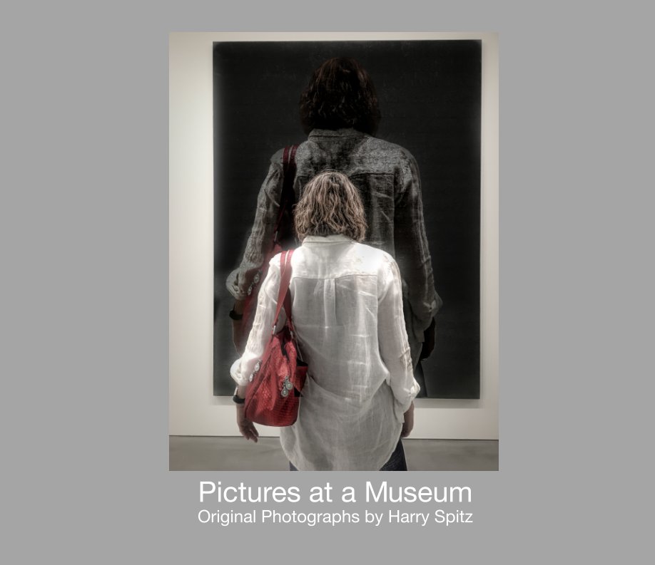 View Pictures at a Museum by Harry Spitz