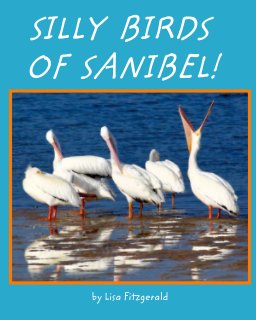 Silly Birds of Sanibel! book cover