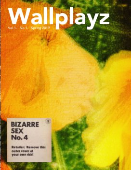 Wallplayz book cover