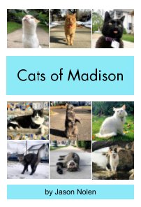Cats of Madison book cover