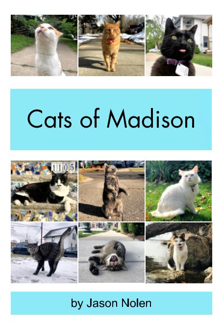 Visualizza Cats of Madison di Jason Nolen