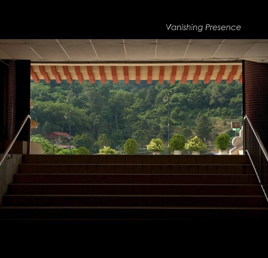 View Vanishing Presence by Linda Peschong