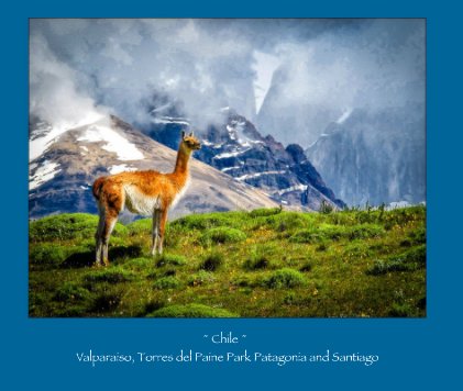 ~ Chile ~ Valparaiso, Torres del Paine Park Patagonia and Santiago book cover