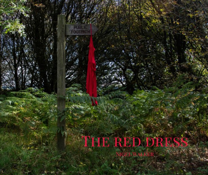 View The Red Dress (soft) by Nigel Walker