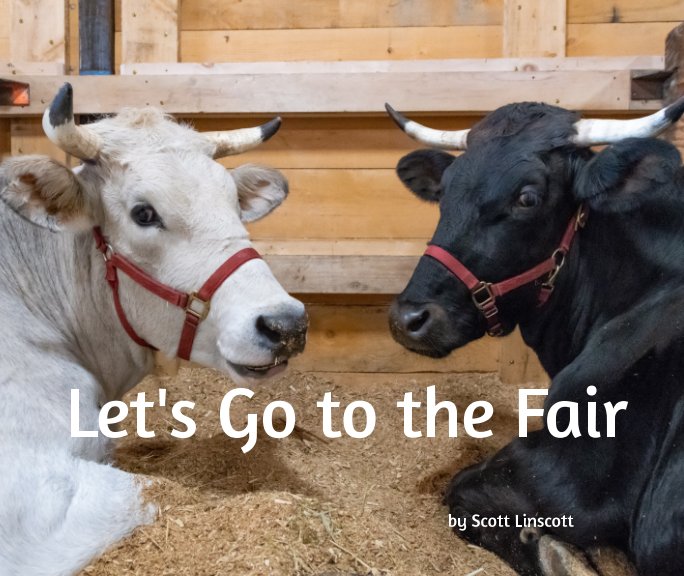 View Let's Go to the Fair! by Scott Linscott