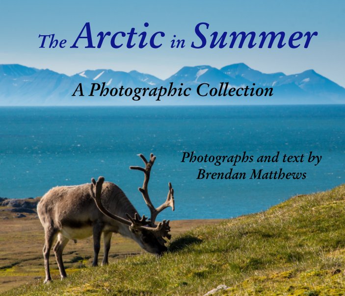 Visualizza The Arctic in Summer di Brendan Matthews