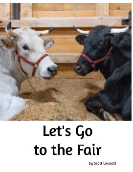 Let's Go to the Fair! (MAG) book cover