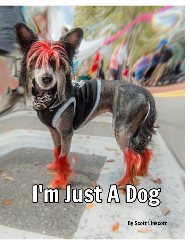 Ver I'm Just a Dog por Scott Linscott, photography by Scott Linscott