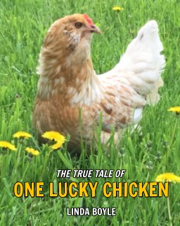 One Lucky Chicken book cover
