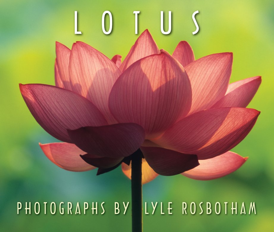View Lotus by Lyle Rosbotham